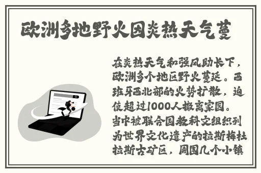 欧洲lv尺码大免费